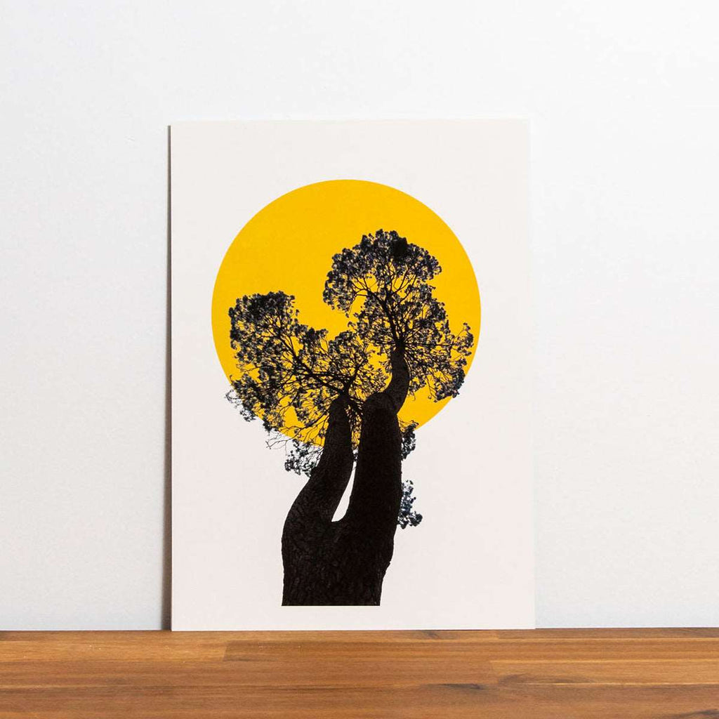 Limited Edition Sustainable Archival Prints - Castlemaine Botanicals