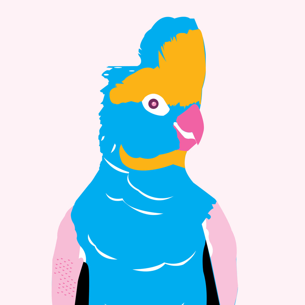 Cheeky Galah