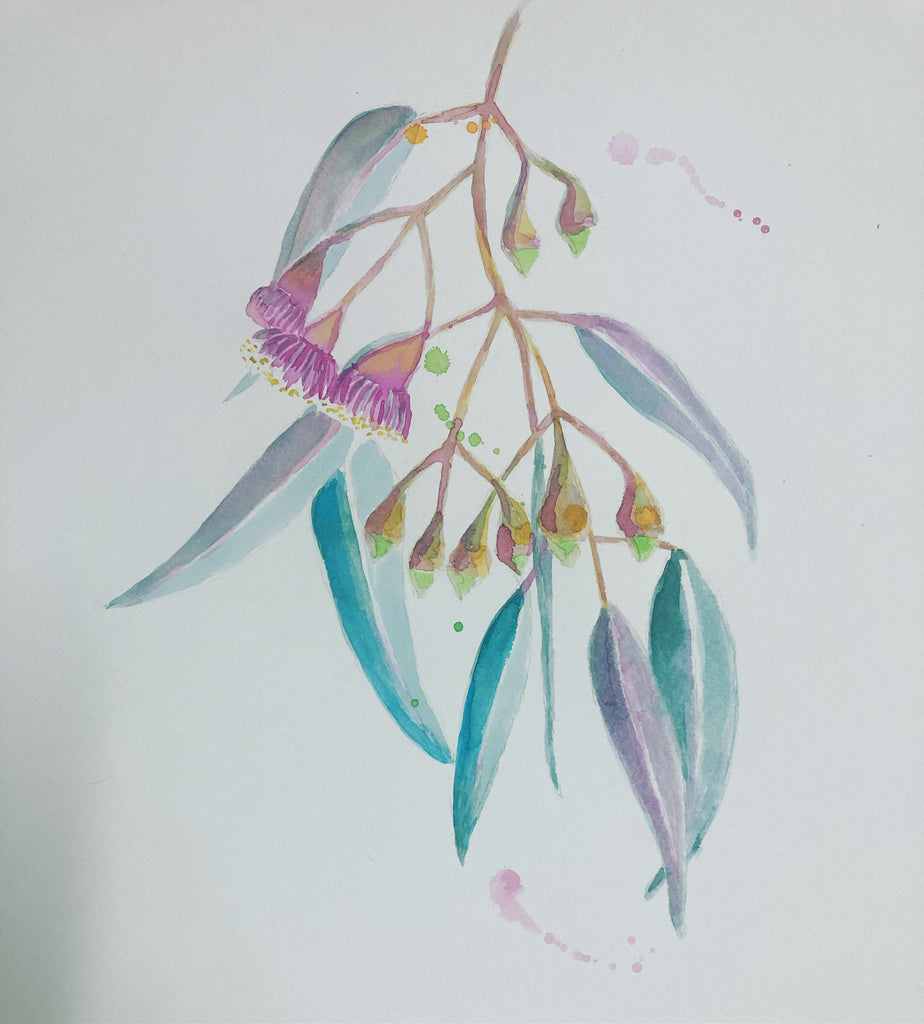 Flowering Gum