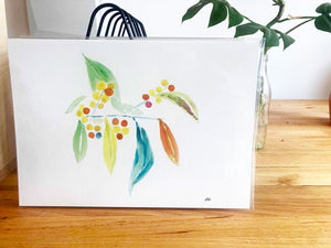 Open image in slideshow, Limited Edition Sustainable Archival Prints - Wattle

