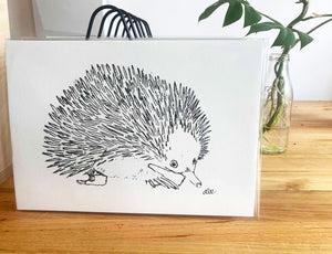 Open image in slideshow, Limited Edition Sustainable Archival Prints - Echidna
