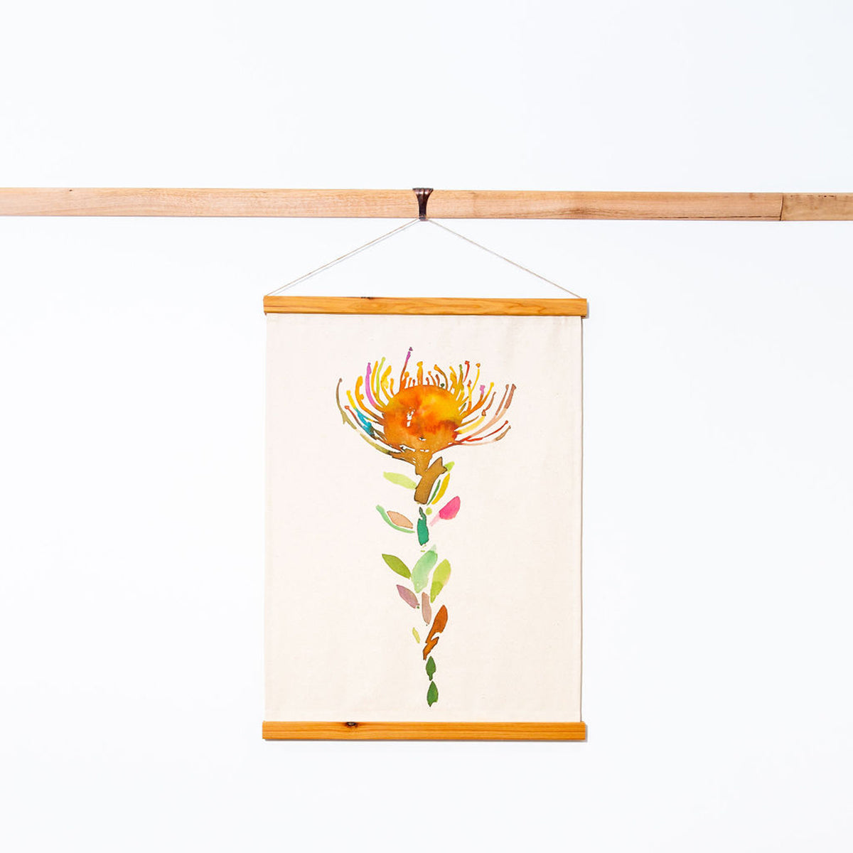 Limited Edition Sustainable Framed Art - Castlemaine Leucadendron