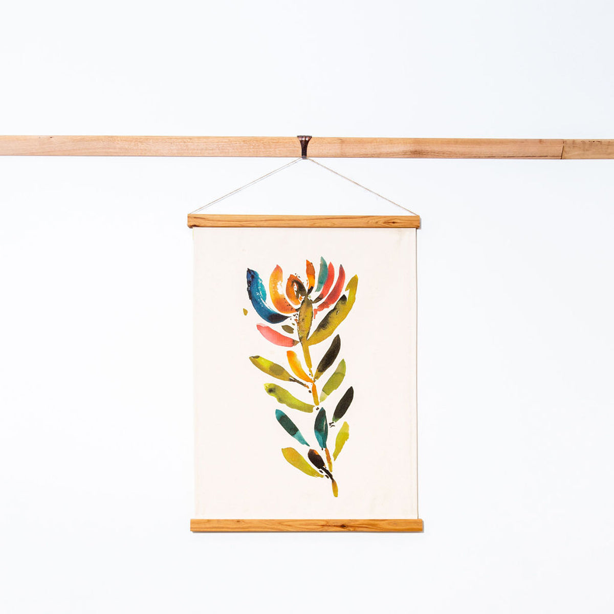 Limited Edition Sustainable Framed Art - Torquay Leucadendron
