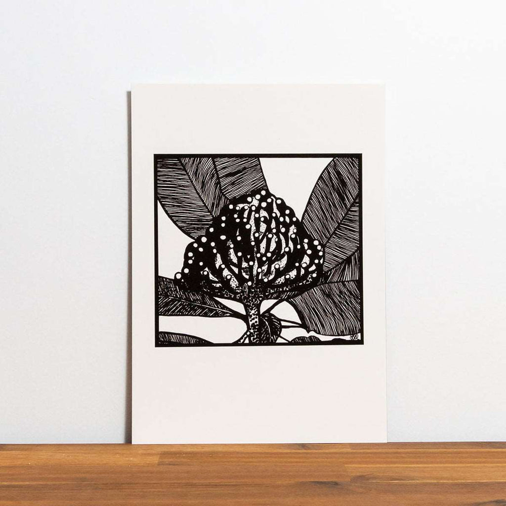 Limited Edition Sustainable Archival Prints - Waratah Healing