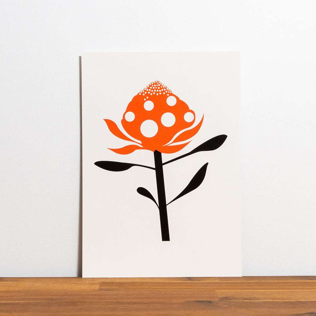 Limited Edition Sustainable Archival Prints - Merry Waratah
