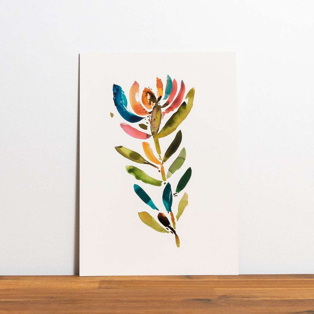 Limited Edition Sustainable Archival Prints - Torquay Leucadendron